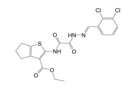 ethyl 2-{[[(2E)-2-(2,3-dichlorobenzylidene)hydrazino](oxo)acetyl]amino}-5,6-dihydro-4H-cyclopenta[b]thiophene-3-carboxylate