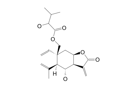 SCHKUHRIDIN A