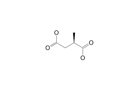 (S)-(-)-Methylsuccinic acid