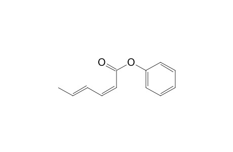 Phenyl 2,4-hexadienoate