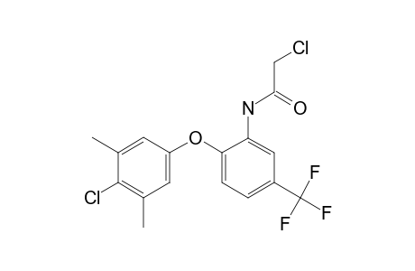 2-CHLORO-6'-[(4-CHLORO-3,5-XYLYL)OXY]-alpha,alpha,alpha-TRIFLUORO-m-ACETOTOLUIDIDE