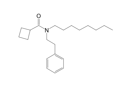 Cyclobutanecarboxamide, N-(2-phenylethyl)-N-octyl-