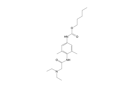 4-[2-(diethylamino)acetamido]-3,5-dimethylcarbanilic acid, pentyl ester