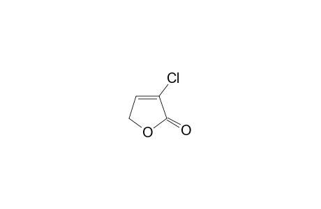 3-chloro-2(5H)-furanone