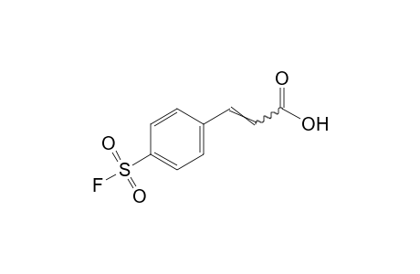 p-(fluorosulfonyl)cinnamic acid