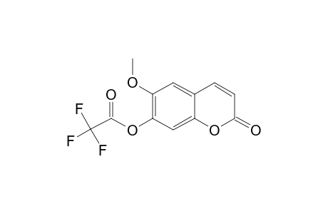 Scopoletin, o-trifluoroacetyl-