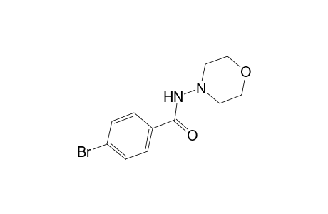 4-bromo-N-(4-morpholinyl)benzamide