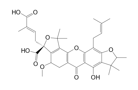 SCORTECHINONE_X