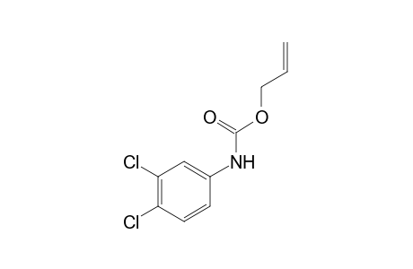 3,4-dichlorocarbanilic acid, allyl ester
