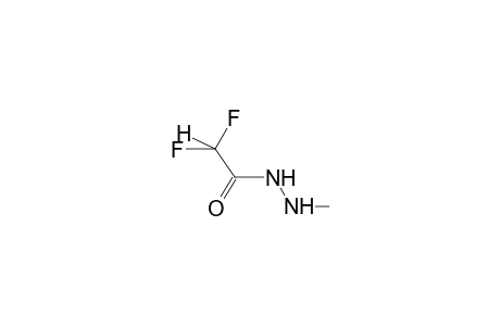 (Z)-N-METHYL-N'-DIFLUOROACETYLHYDRAZINE