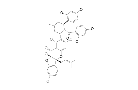 SANGGENON-C