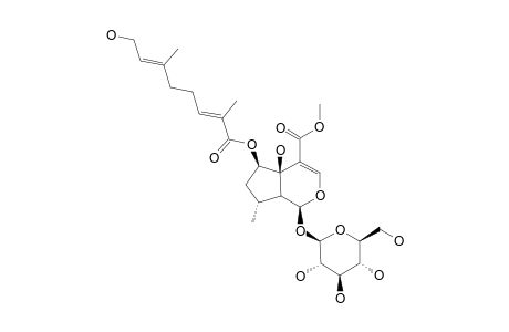 6-O-[2,8-DIMETHYL-(2E,6E)-OCTADIENOYL]-PENSTEMOSIDE