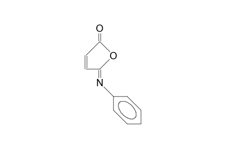 anti-N-Phenyl-maleisoimide