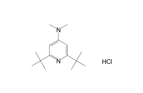 2,6-di-tert-butyl-4-(dimethylamino)pyridine, monohydrochloride