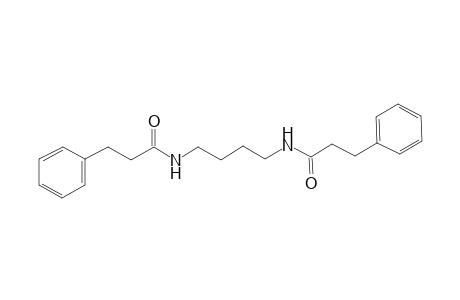 3-phenyl-N-{4-[(3-phenylpropanoyl)amino]butyl}propanamide