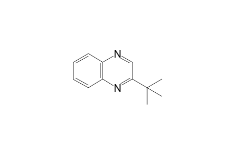2-(t-Butyl)-quinoxaline