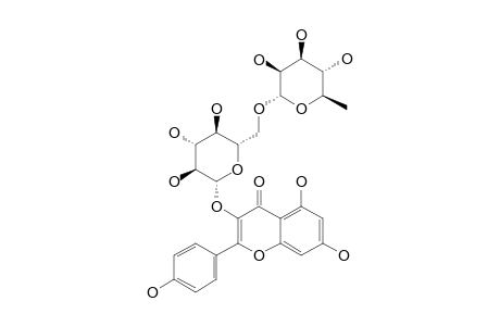 KAEMPFEROL-3-RUTINOSIDE