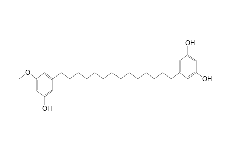 BISGRAVILLOL;1-O-METHYL-5-[14''-(1',3'-DIHYDROXYPHENYL)-TETRADEC-1''-YL]-RESORCINOL