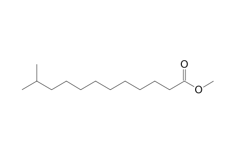 Dodecanoic acid, 11-methyl-, methyl ester