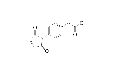 2-(4-maleimidophenyl)acetic acid