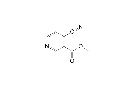 4-cyanonicotinic acid, methyl ester