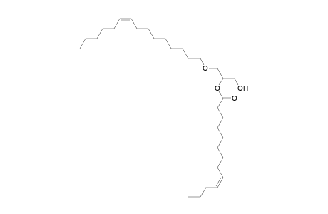 DG O-15:1_13:1