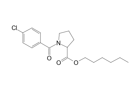 L-Proline, N-(4-chlorobenzoyl)-, hexyl ester