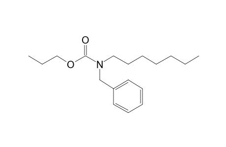 Carbamic acid, N-benzyl-N-heptyl-, propyl ester