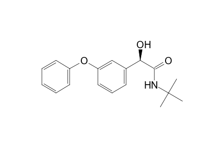 N-(TERT.-BUTYL)-2-HYDROXY-2-(3-PHENOXYPHENYL)-ACETAMIDE