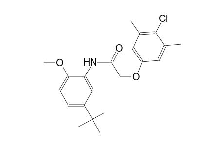 N-(5-tert-butyl-2-methoxyphenyl)-2-(4-chloro-3,5-dimethylphenoxy)acetamide