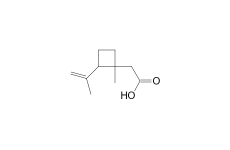 2-(1-Methyl-2-prop-1-en-2-yl-cyclobutyl)ethanoic acid