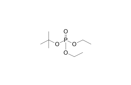 (2-METHYL-2-PROPYL)-DIETHYL-PHOSPHATE