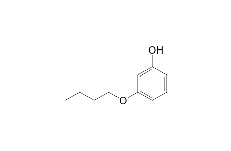 m-buoxyphenol