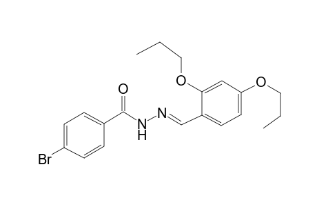 4-Bromanyl-N-[(E)-(2,4-dipropoxyphenyl)methylideneamino]benzamide