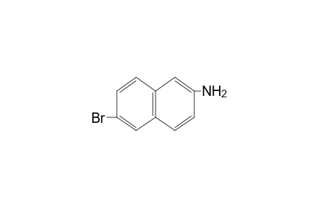 6-bromo-2-naphthylamine