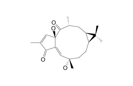 4E-JATROGROSSIDENTADION