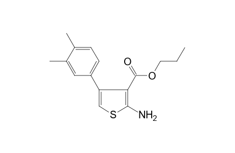 Thiophene-3-carboxylic acid, 2-amino-4-(3,4-dimethylphenyl)-, propyl ester