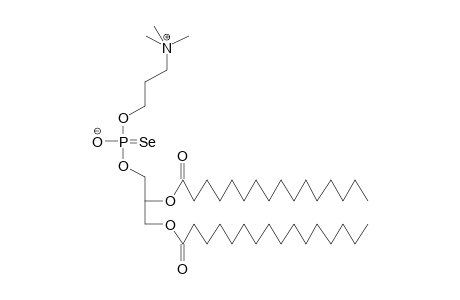 1,2-DIHEXADECANOYLGLYCERO-3-SELENONPHOSPHOHOMOHOLINE