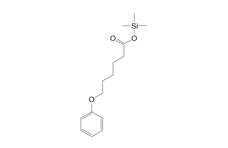 Hexanoic acid, 6-phenoxy-, trimethylsilyl ester