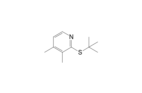 3,4-Lutidine, 2-(tert-butylthio)-