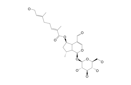 6-BETA-O-[2,8-DIMETHYL-(2E,6E)-OCTADIENOYL]-BOSCHNALOSIDE