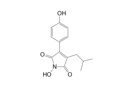 ANTROCINNAMOMIN_B;3-ISOBUTYL-4-(4-HYDROXYPHENYL)-1-H-PYRROL-1-OLE-2,5-DIONE