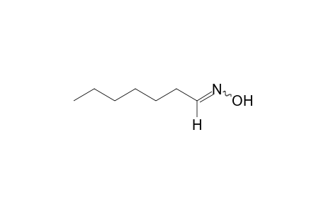 heptanal, oxime