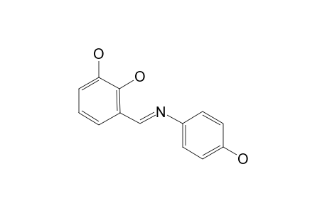 3-[(4-Hydroxy-phenylimino)-methyl]-benzene-1,2-diol