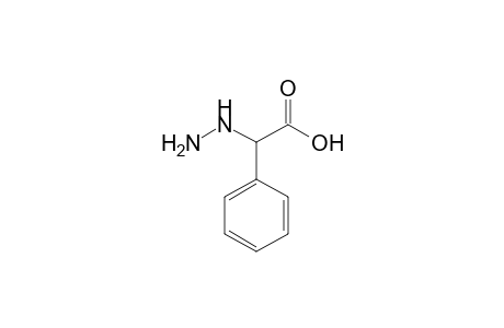 hydrazinophenylacetic acid