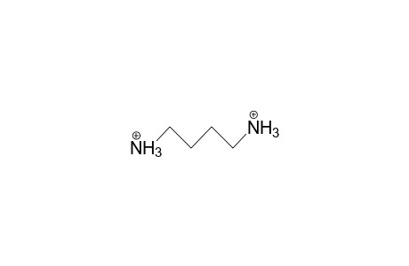 1,4-Butanediamine dication