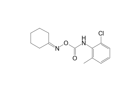 cyclohexanone, O-[(6-chloro-o-tolyl)carbamoyl]oxime