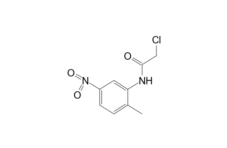 2-chloro-5'-nitro-o-acetotoluidide