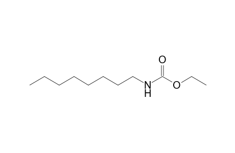 Carbamic acid, octyl-, ethyl ester