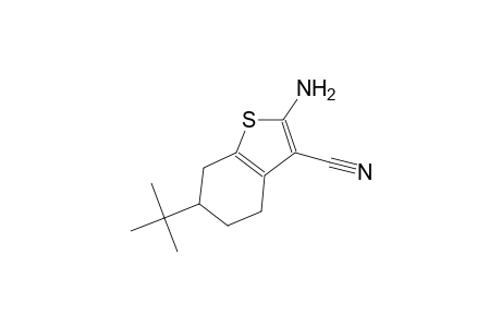 2-Amino-6-tert-butyl-4,5,6,7-tetrahydro-1-benzothiophene-3-carbonitrile